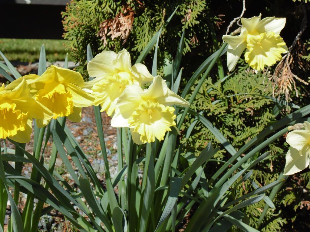 Kea Cottage Te Anau Bagian luar foto
