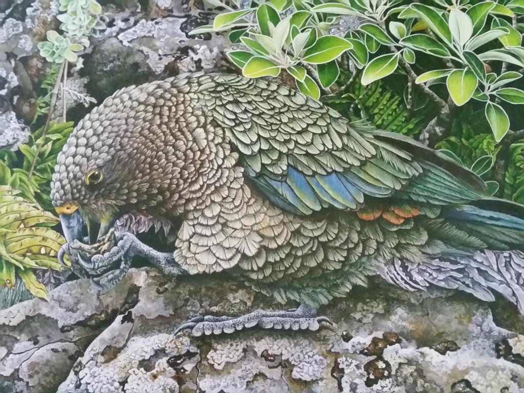 Kea Cottage Te Anau Bagian luar foto